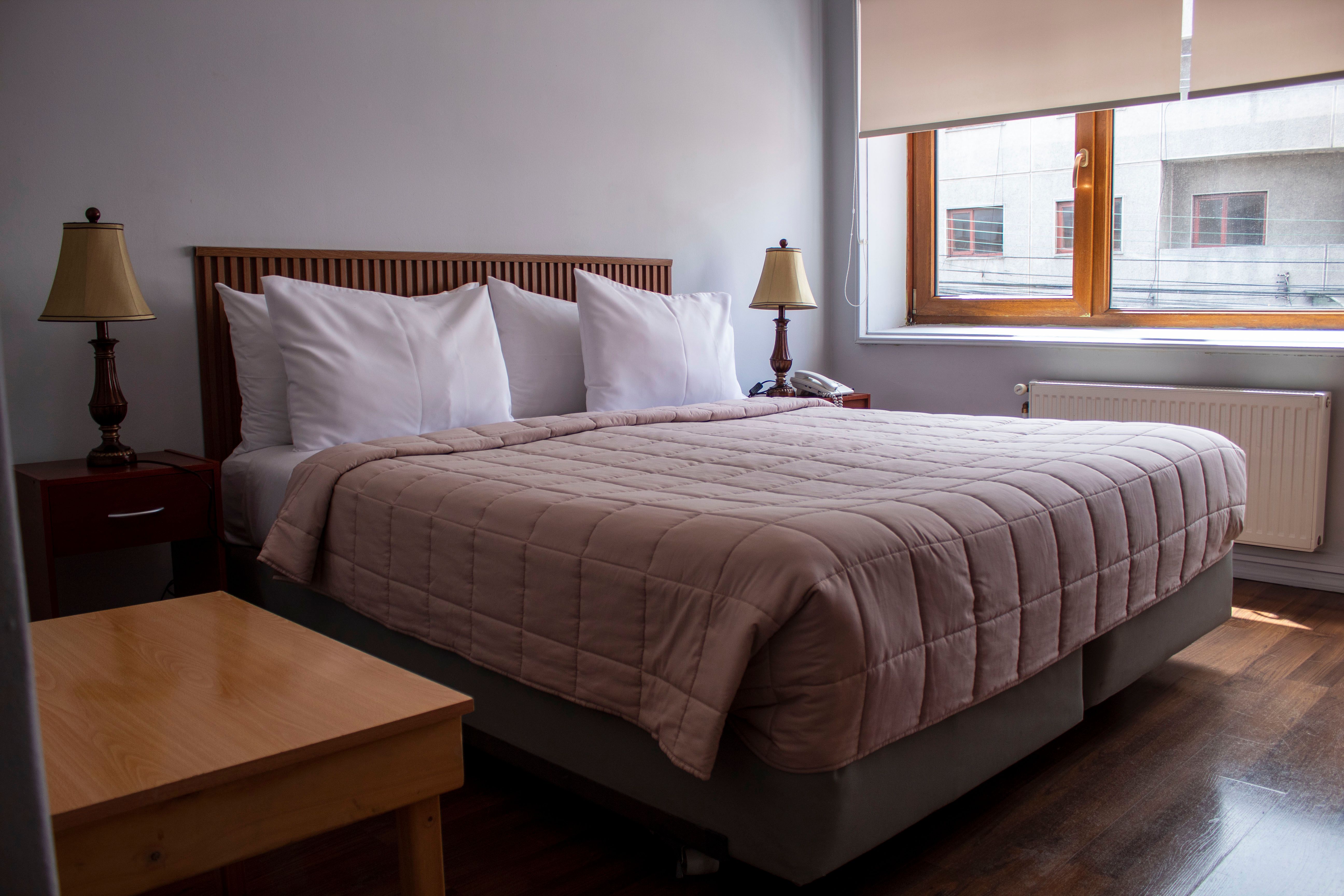 Single Economy Plus - Imagen 1